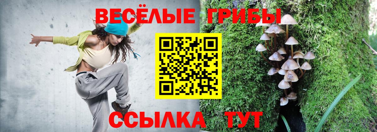 Галлюциногенные грибы мухоморы  Вход с VPN  Галлюциногенные грибы MAGIC MUSHROOMS  Майский 